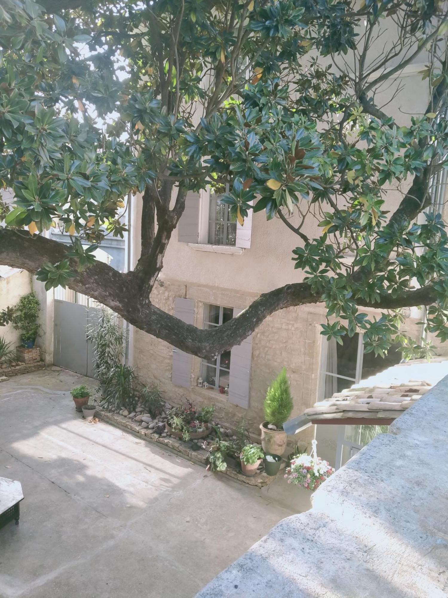 Chambres D'Hotes L'Atrium Οράνζ Εξωτερικό φωτογραφία