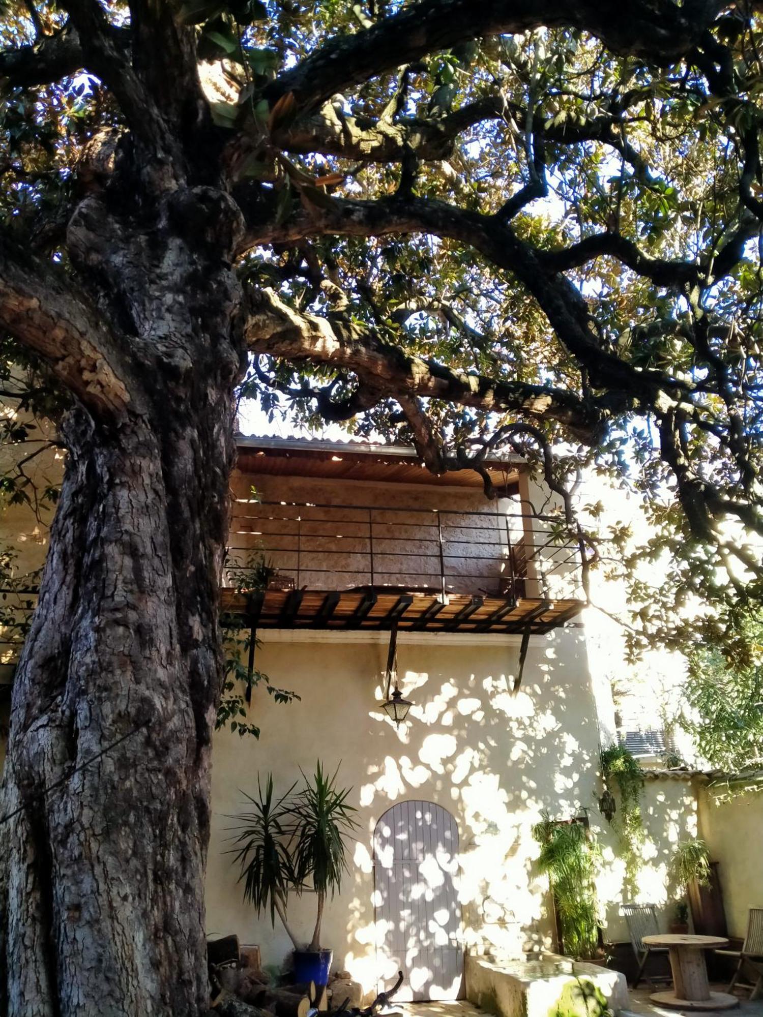 Chambres D'Hotes L'Atrium Οράνζ Εξωτερικό φωτογραφία
